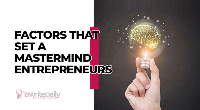 Factors That Set A Mastermind Entrepreneurs